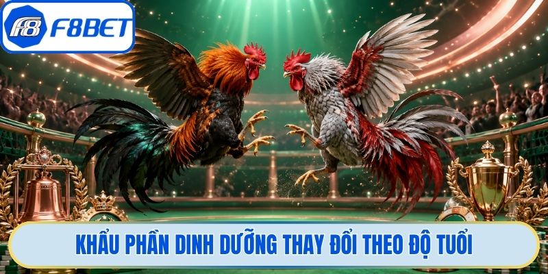 Khẩu phần dinh dưỡng thay đổi theo độ tuổi