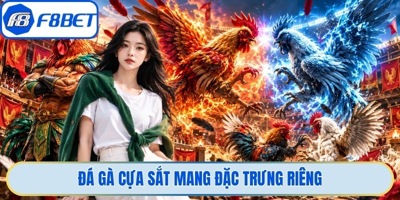 Đá gà cựa sắt mang đặc trưng riêng