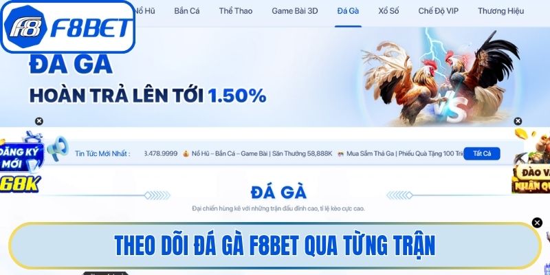 Theo dõi đá gà F8bet qua từng trận