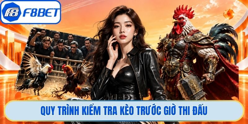 Quy trình kiểm tra kèo trước giờ thi đấu