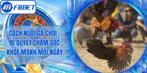 Cách Nuôi Gà Chọi - Bí Quyết Chăm Sóc Khỏe Mạnh Mỗi Ngày