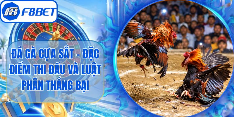 Đá Gà Cựa Sắt - Đặc Điểm Thi Đấu Và Luật Phân Thắng Bại